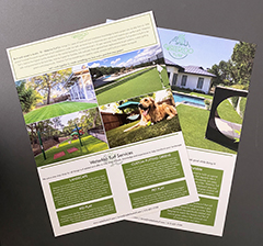 August 2021 Featured Graphics: Waterloo Turf Business Collateral